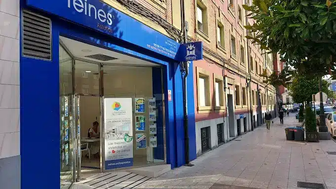 Reines red de inmobiliarias españolas